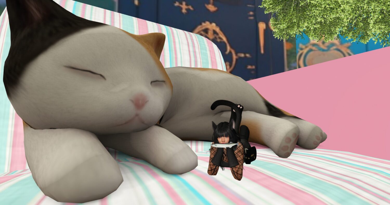 まったり猫とくつろげます