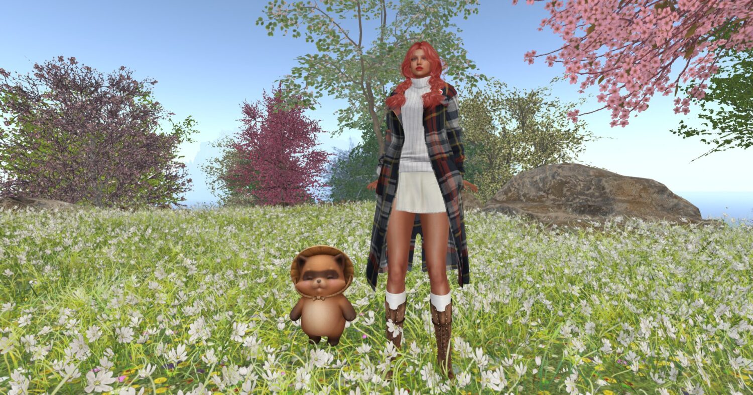 Cafeお休み中たぬきと一緒に旅にでております。