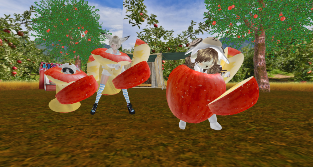 りんご収穫祭り♪りんご囓りday